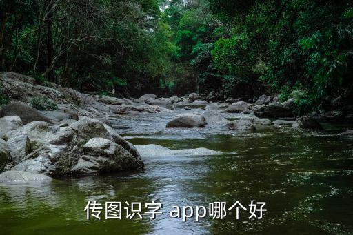 傳圖識字 app哪個好