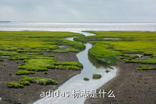 adidas 標(biāo)志是什么