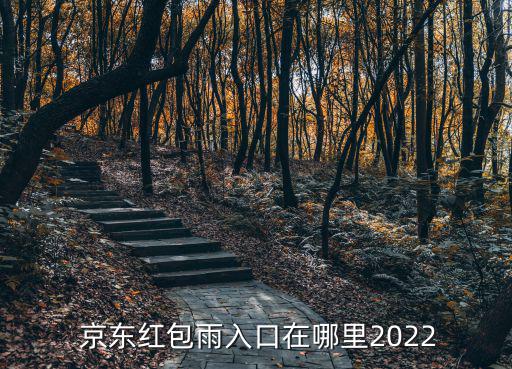  京東紅包雨入口在哪里2022