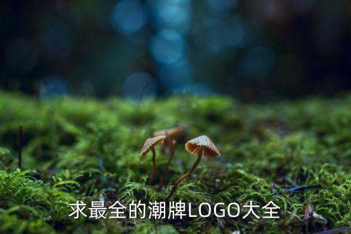 求最全的潮牌LOGO大全