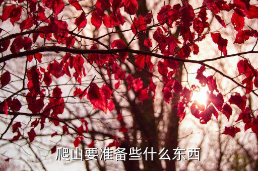 登山需要準(zhǔn)備哪些裝備,登山需要準(zhǔn)備哪些東西?