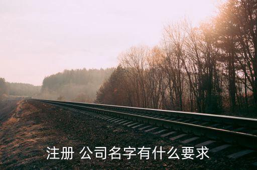 注冊(cè) 公司名字有什么要求