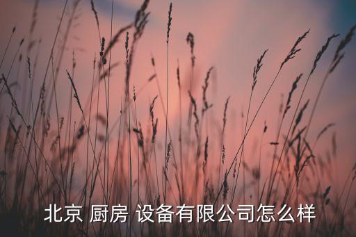  北京 廚房 設(shè)備有限公司怎么樣