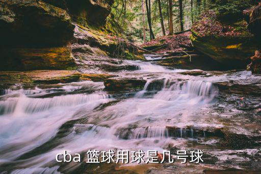 cba 籃球用球是幾號球