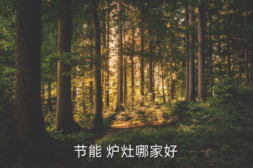 節(jié)能 爐灶哪家好