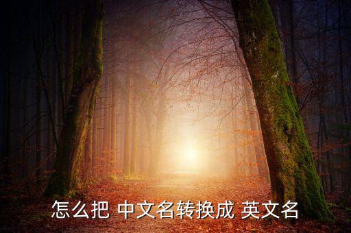 怎么把 中文名轉(zhuǎn)換成 英文名