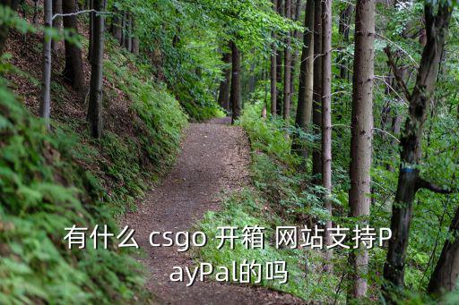 csgo開箱網(wǎng)站免費,如何辨別真?zhèn)伍_箱網(wǎng)站?