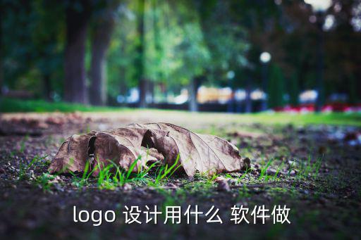  logo 設(shè)計用什么 軟件做