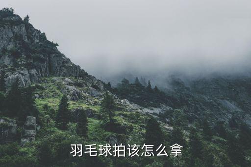  羽毛球拍該怎么拿