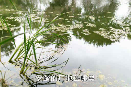 體育用品生產(chǎn)基地在哪里,武漢李寧球鞋產(chǎn)地在哪里