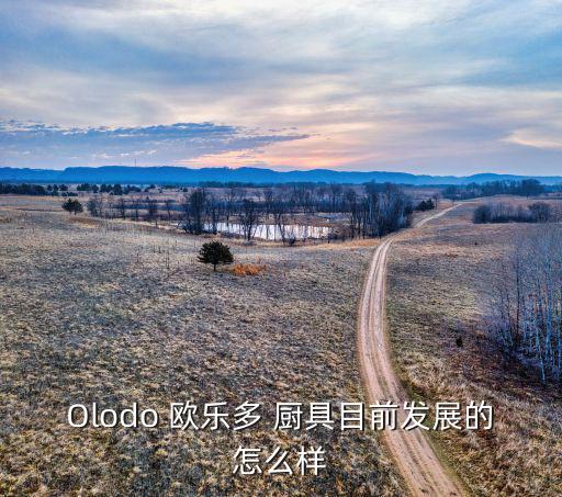 Olodo 歐樂多 廚具目前發(fā)展的怎么樣