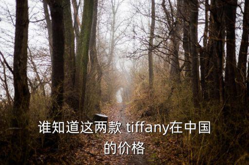 誰知道這兩款 tiffany在中國的價格