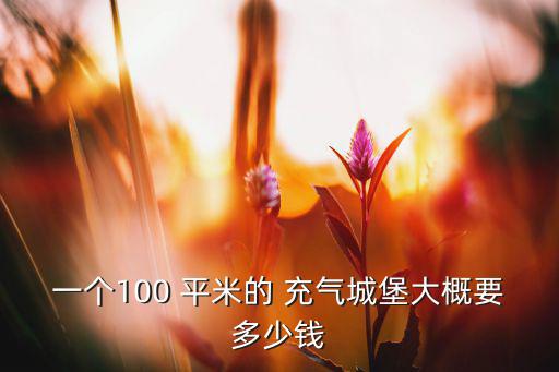 一個(gè)100 平米的 充氣城堡大概要多少錢