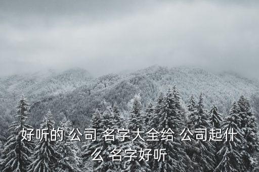 公司名字,公司from名字大全: