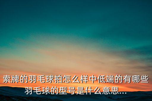 索牌的羽毛球拍怎么樣中低端的有哪些羽毛球的型號是什么意思...