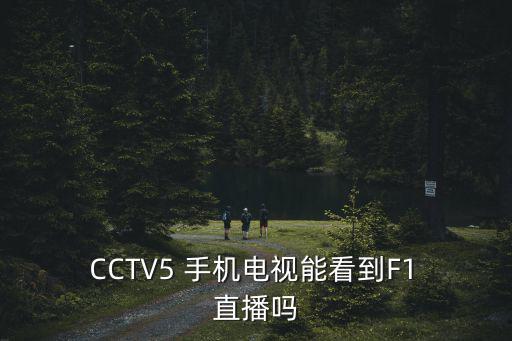  CCTV5 手機電視能看到F1 直播嗎