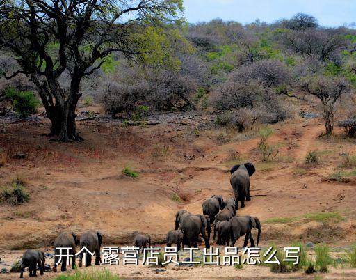 室內(nèi)露營餐廳,這個(gè)假期的精彩預(yù)告