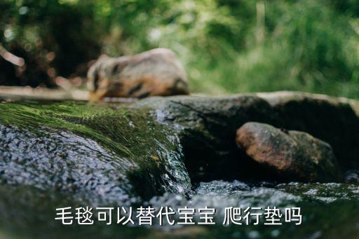 毛毯可以替代寶寶 爬行墊嗎