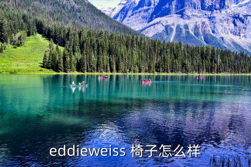 eddieweiss 椅子怎么樣