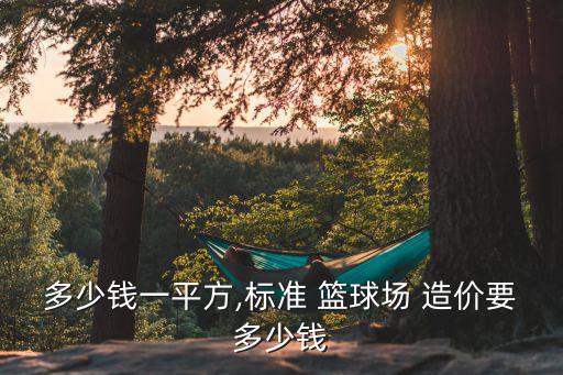 多少錢一平方,標(biāo)準(zhǔn) 籃球場(chǎng) 造價(jià)要多少錢