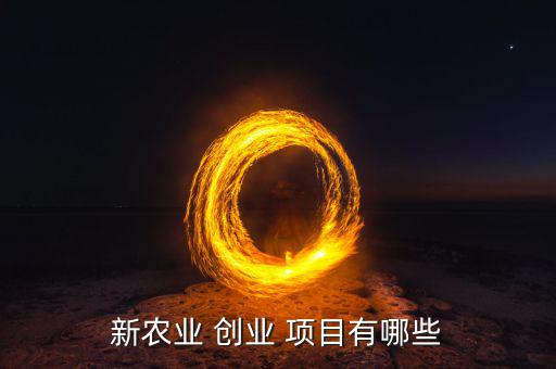 新創(chuàng)業(yè)項目有哪些,互聯(lián)網(wǎng)創(chuàng)業(yè)項目不多新農(nóng)業(yè)創(chuàng)業(yè)點擊