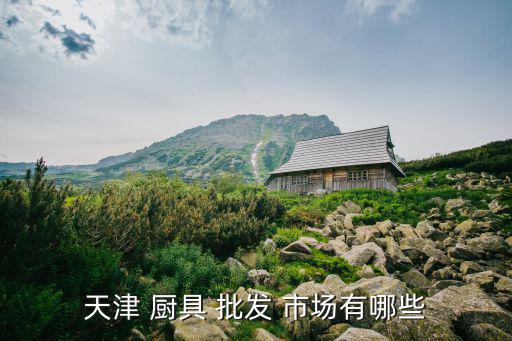 附近廚具批發(fā)市場(chǎng),天津的批發(fā)廚具supplies市場(chǎng)有很多