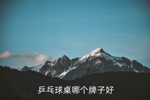  乒乓球桌哪個(gè)牌子好