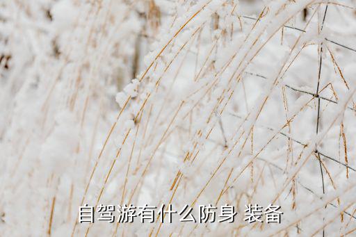 自駕游露營(yíng)裝備,出門前露營(yíng)需要掌握的急救知識(shí)