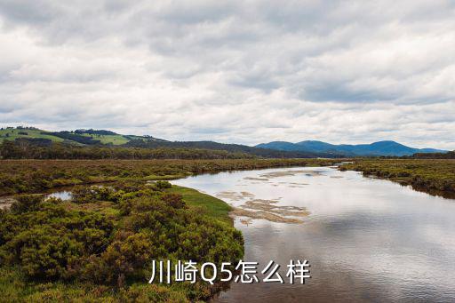 川崎體育用品怎么樣,川崎羽球鞋質(zhì)量不錯(cuò)耐磨又環(huán)保