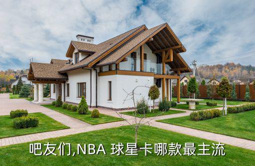 吧友們,NBA 球星卡哪款最主流