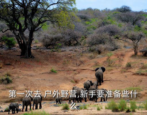 第一次去 戶外野營(yíng),新手要準(zhǔn)備些什么