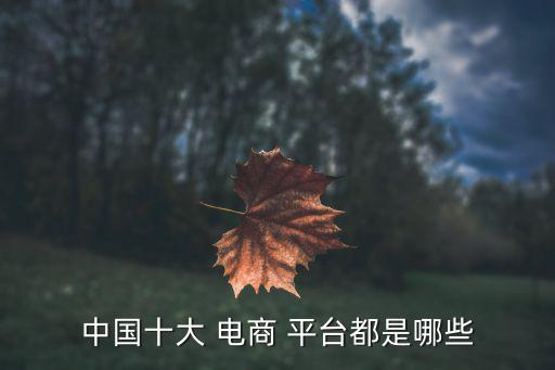 三十個電商平臺,阿里巴巴旗下還有一個國際版淘寶