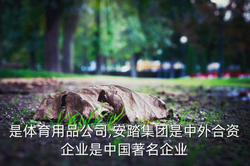 什么是體育用品公司,安踏集團(tuán)是中外合資企業(yè)是中國(guó)著名企業(yè)