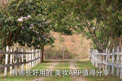 測評美妝的app,這些美妝app有何不同?