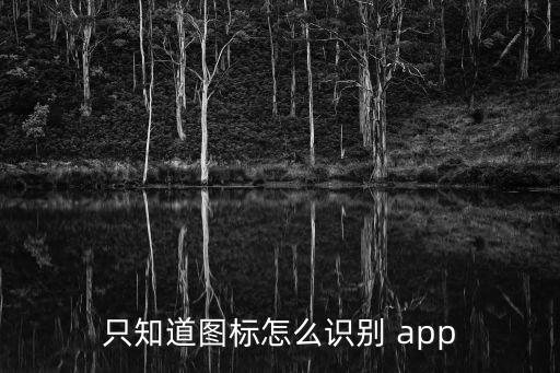 看圖識(shí)品牌app,手機(jī)應(yīng)用如何下載和使用?