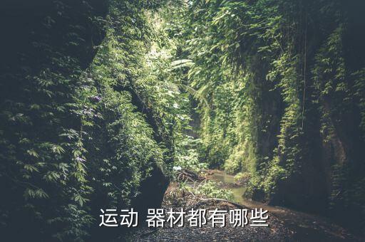 運(yùn)動(dòng)器材都有什么名字,健身器材知多少?問與答（18））