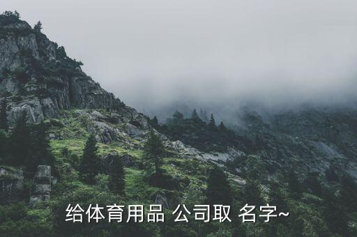 給體育用品 公司取 名字~