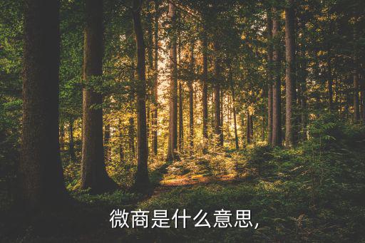 微商是什么,關(guān)于微商你必須知道的5件事