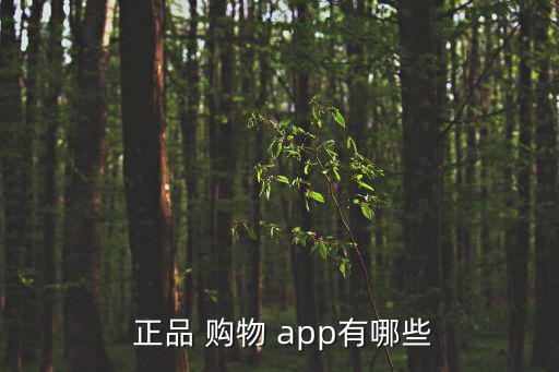  正品 購(gòu)物 app有哪些