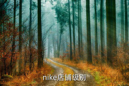 nike店鋪級(jí)別