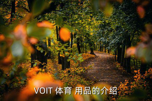 VOIT 體育 用品的介紹