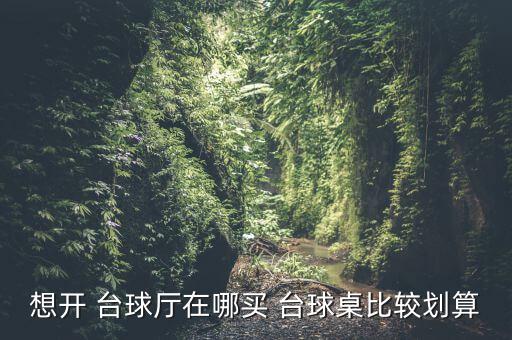 想開 臺球廳在哪買 臺球桌比較劃算