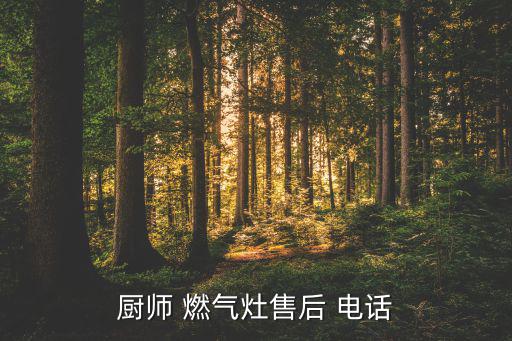 廚師 燃氣灶售后 電話