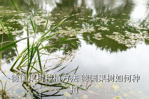  德國(guó)果樹種植方法 德國(guó)果樹如何種植