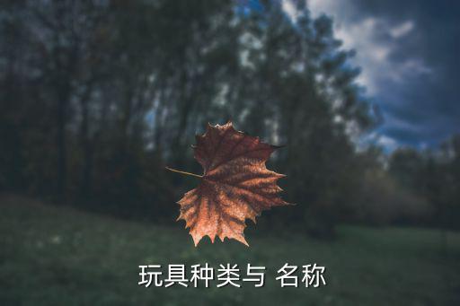  玩具種類與 名稱