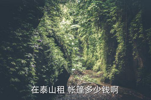 在泰山租 帳篷多少錢啊