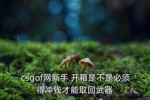  csgof網(wǎng)新手 開箱是不是必須得沖錢才能取回武器