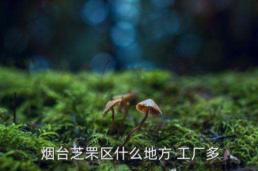  煙臺(tái)芝罘區(qū)什么地方 工廠多