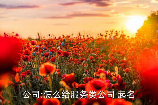 公司:怎么給服務(wù)類公司 起名