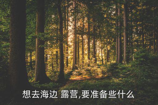 想去海邊 露營,要準(zhǔn)備些什么